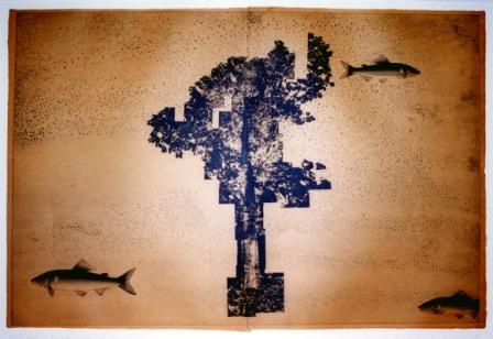 Echo & Thrn Left "Ayu、Stand around" 今井 庸介(IMAI Yosuke)