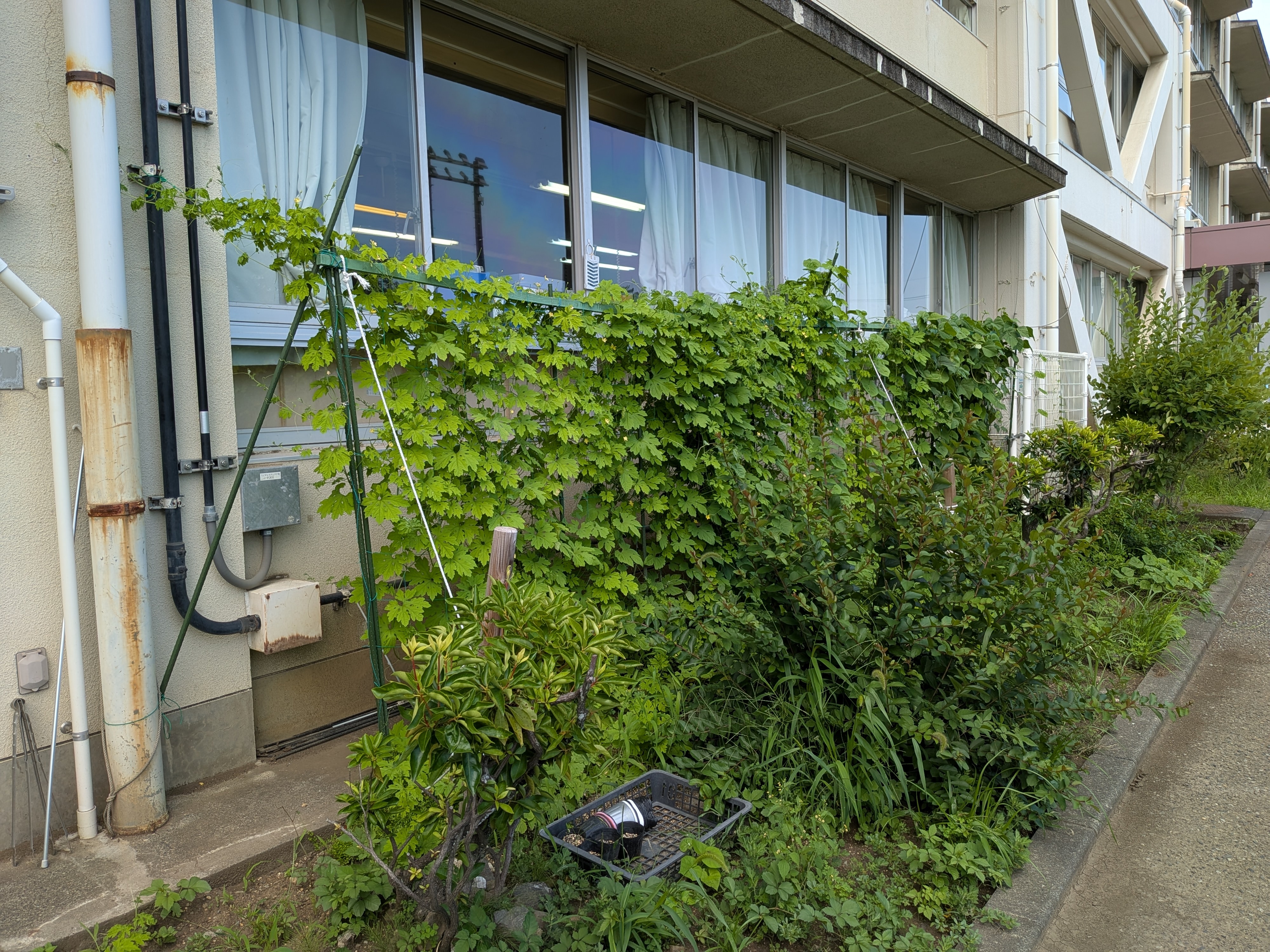 五日市中学校の写真