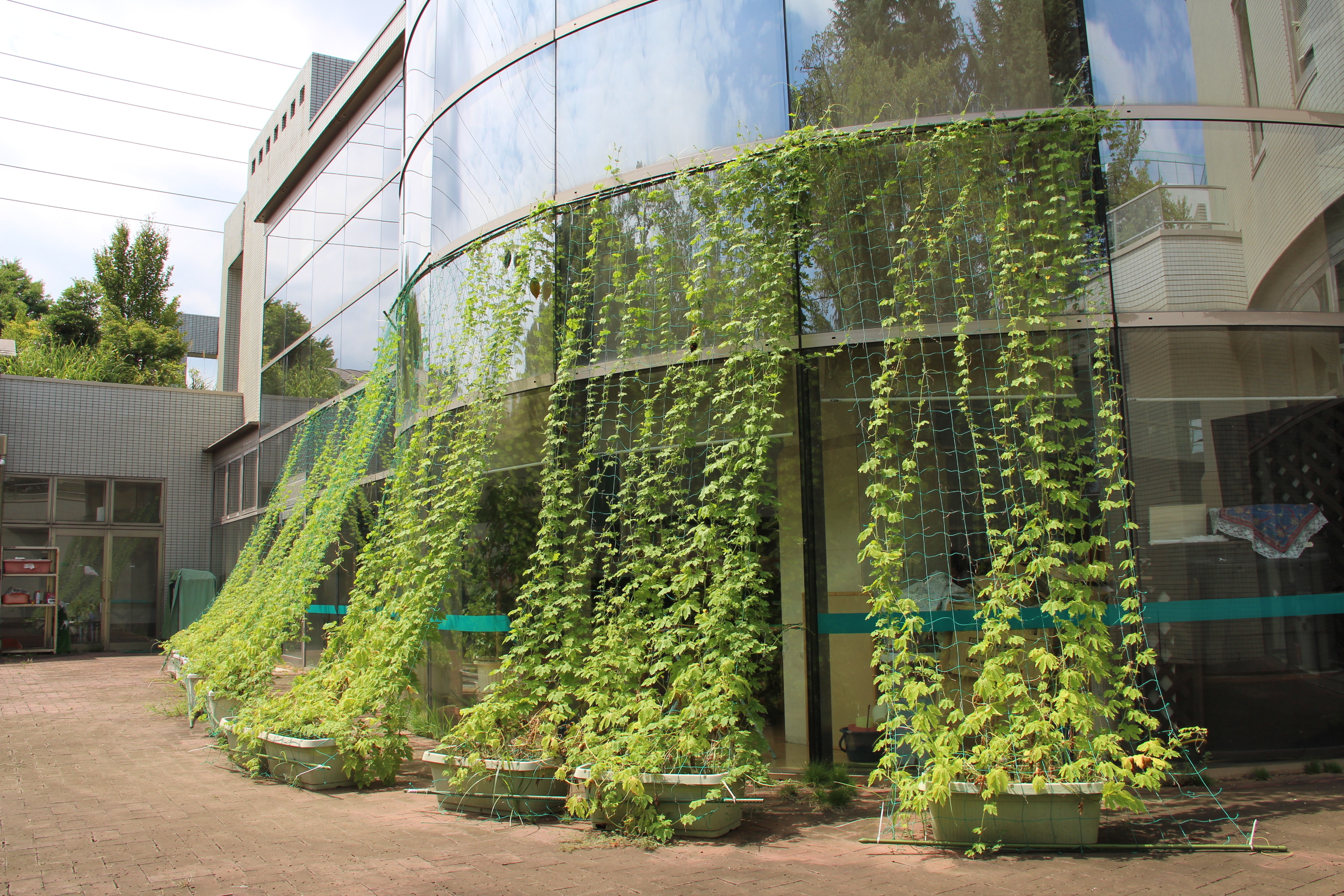 秋川ふれあいセンターの写真