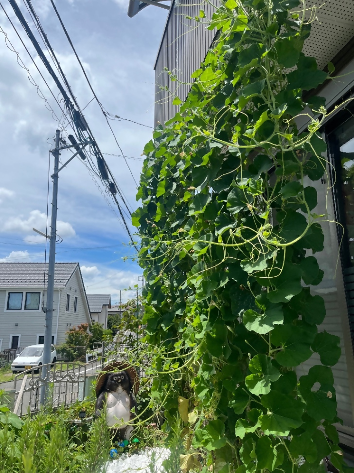 GODZILLAさんの写真