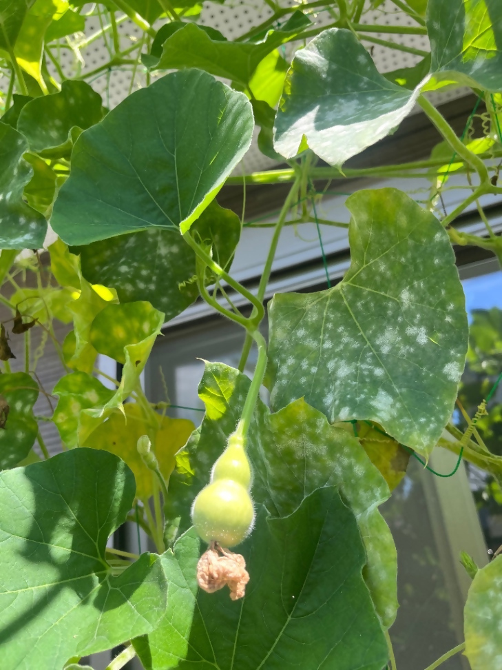 GODZILLAさんの写真2