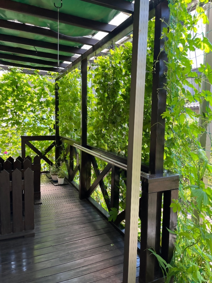 かわむらさんの写真