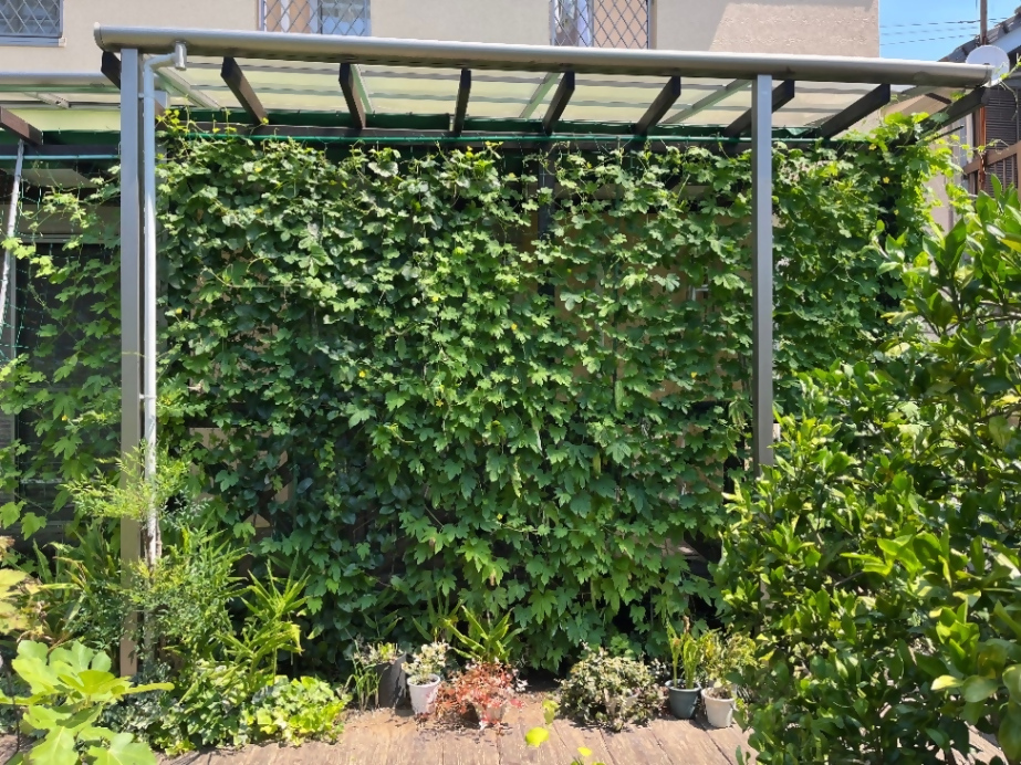 かわむらさんの写真2