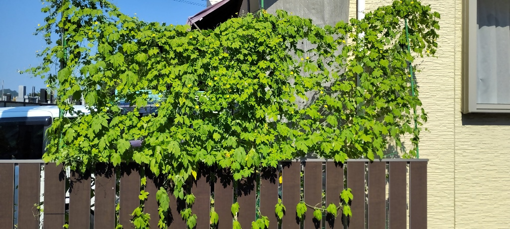 デッサンさんの写真2