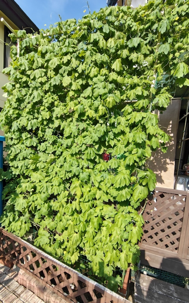 てっつぁんさんの写真