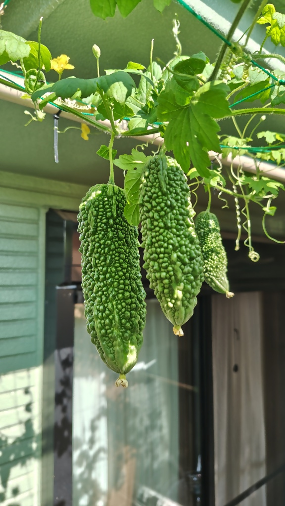 てっつぁんの写真2