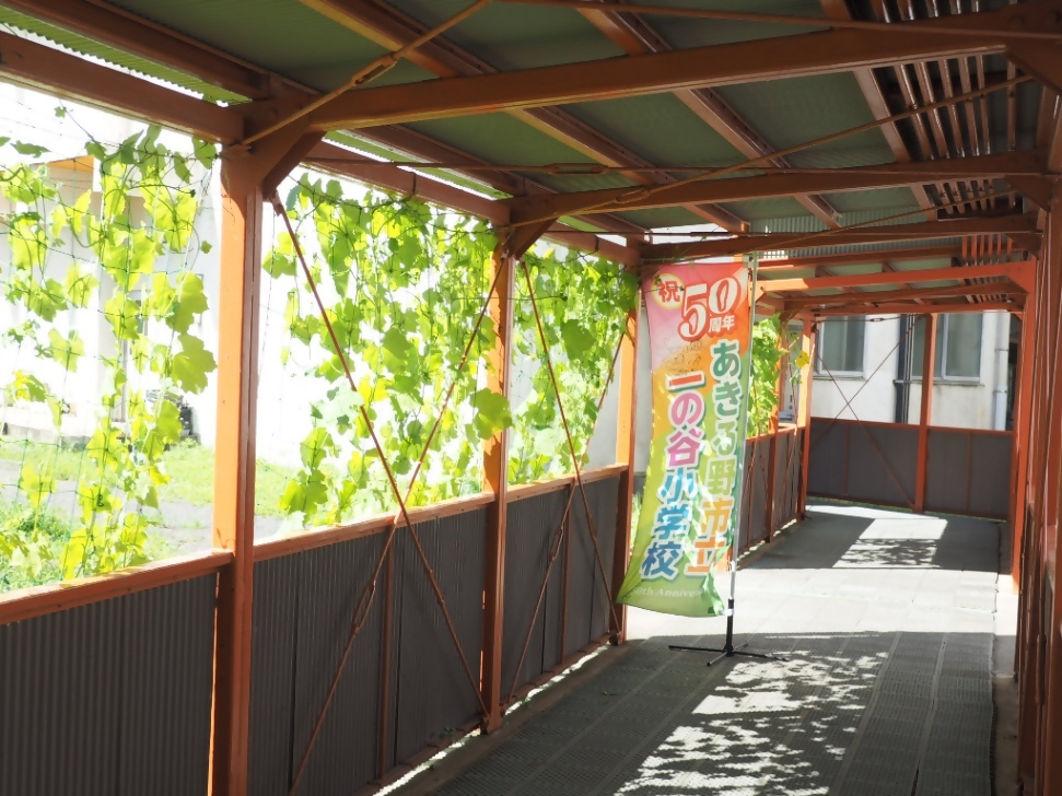 ほたるん50さんの写真