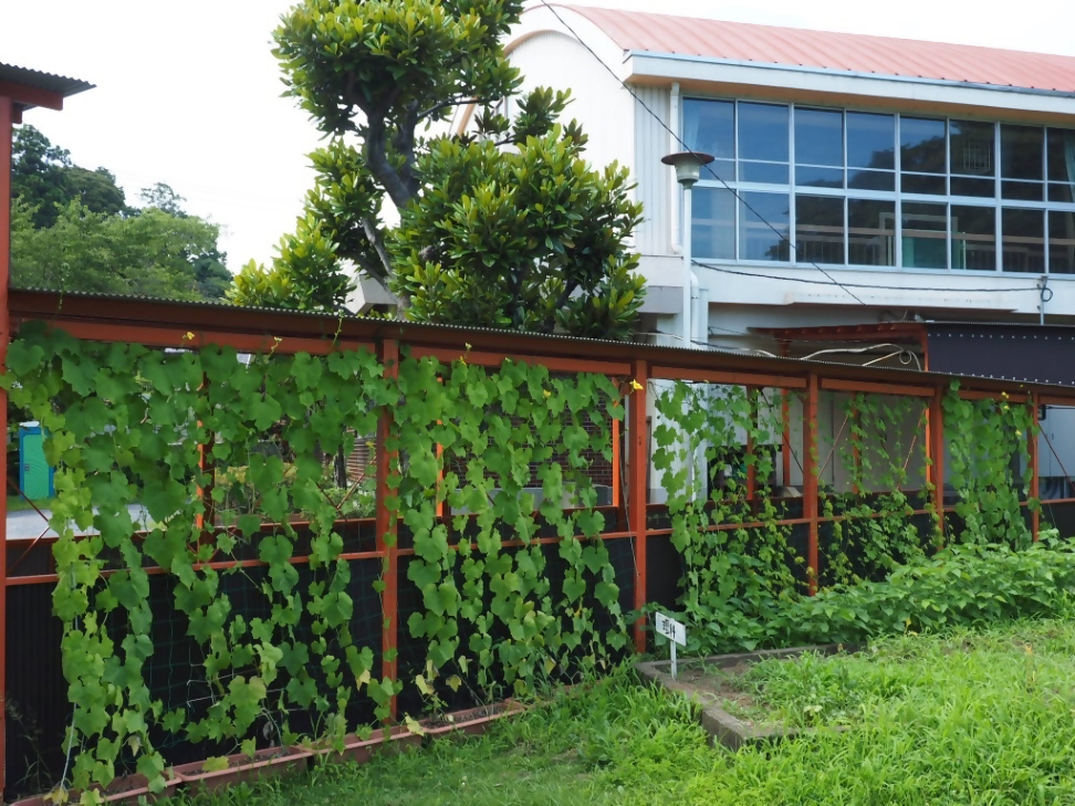 ほたるん50さんの写真2