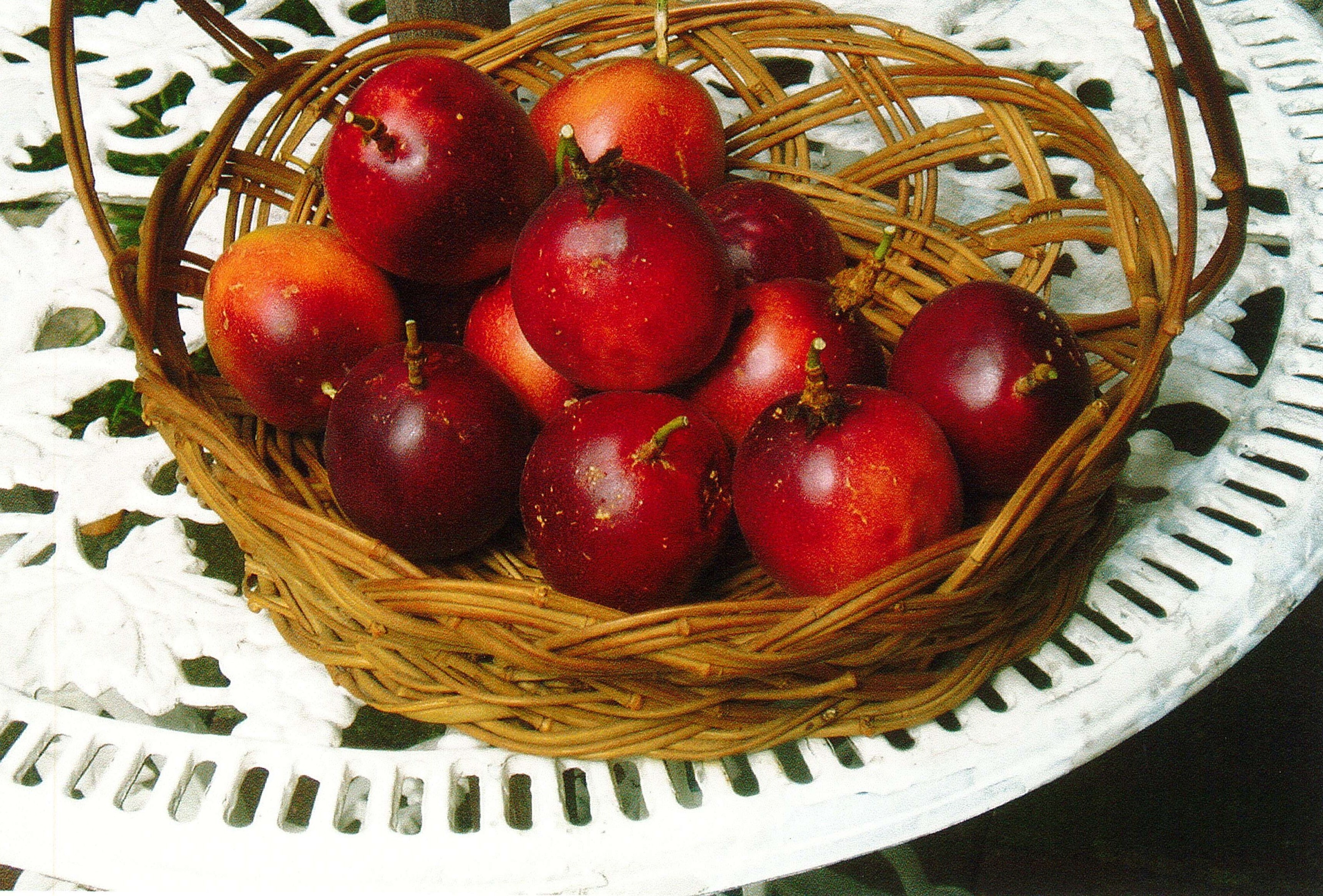 N・Tさんの写真