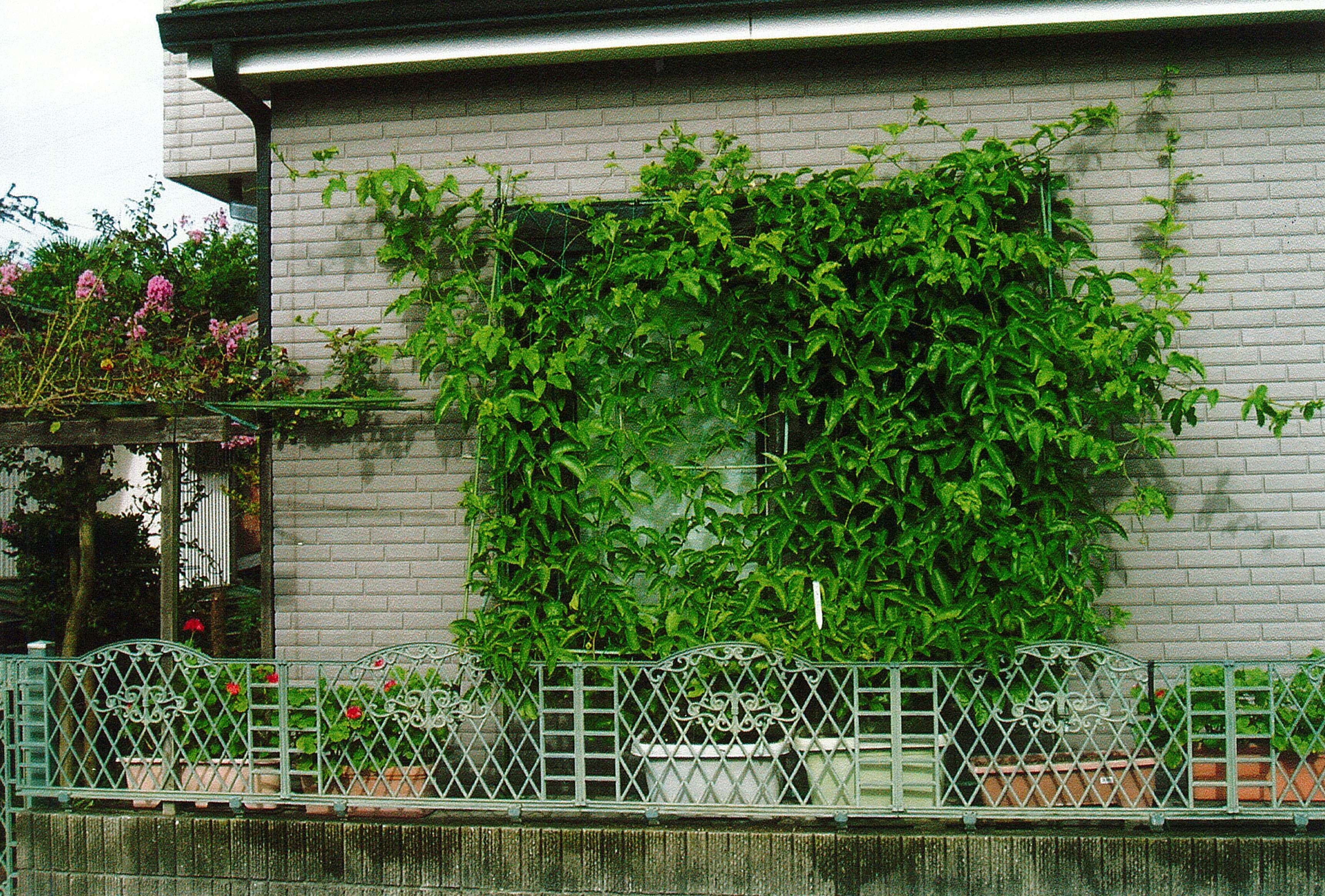 N・Tさんの写真2