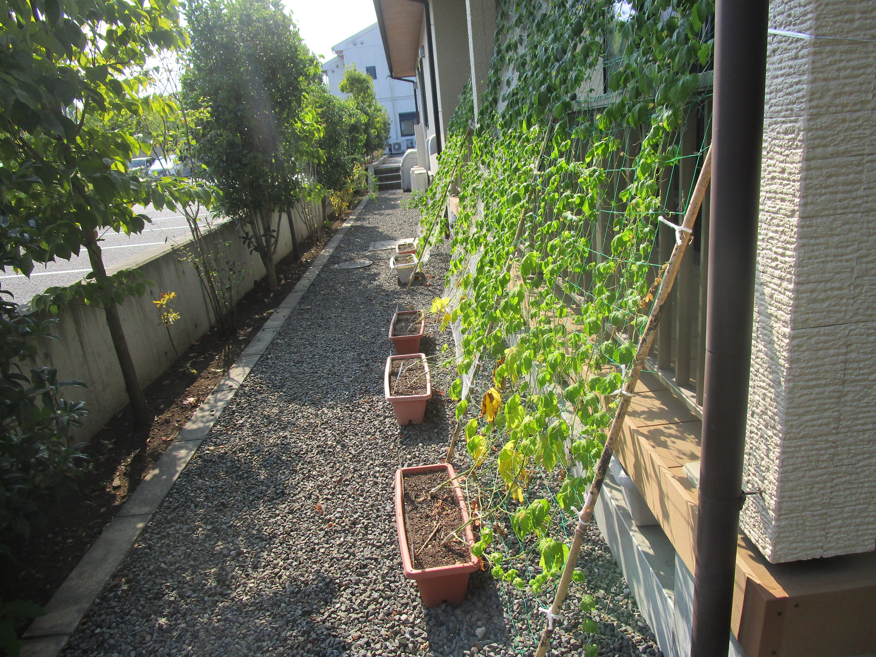 ぬくもりの写真