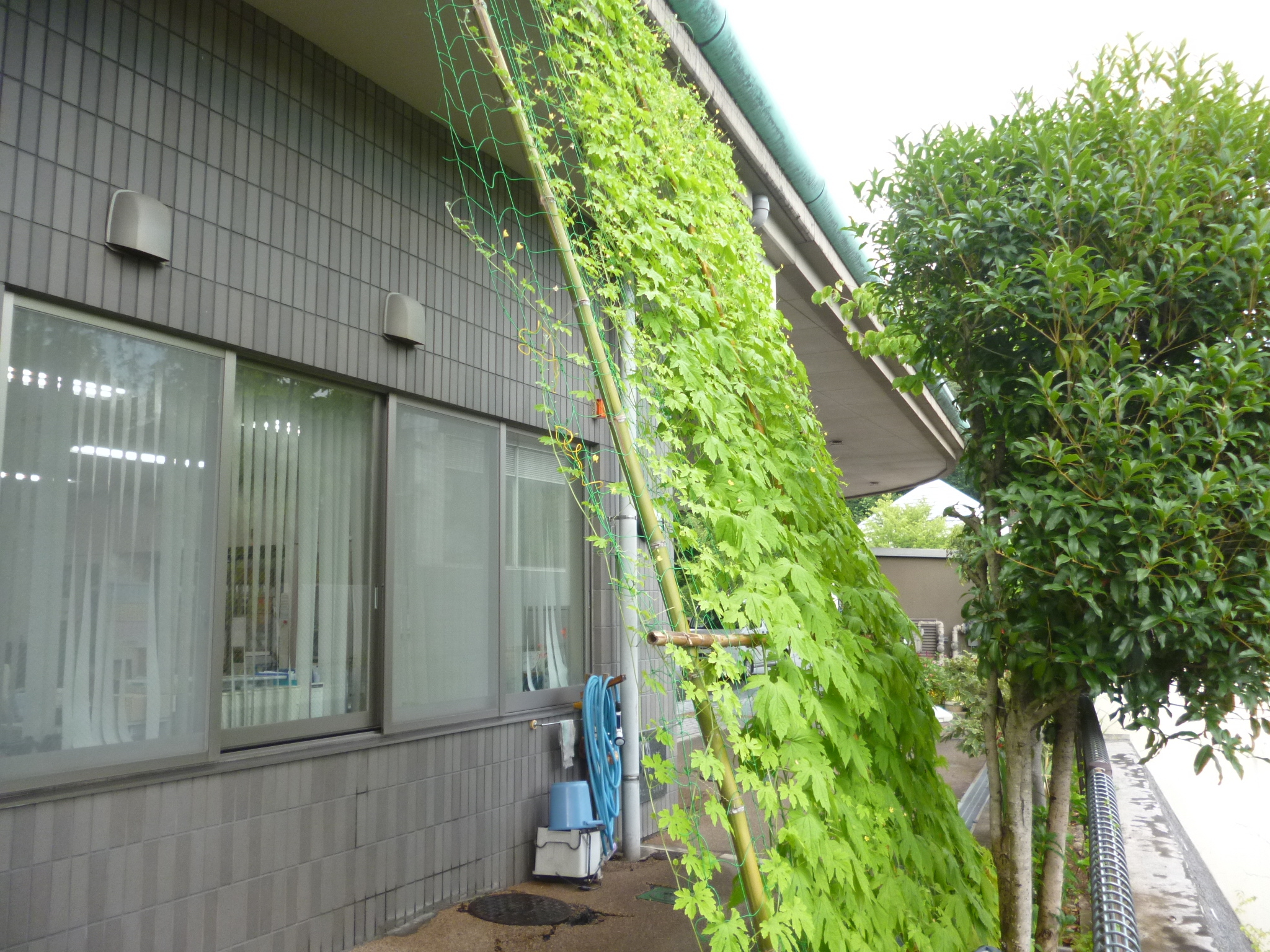 五日市センターの写真