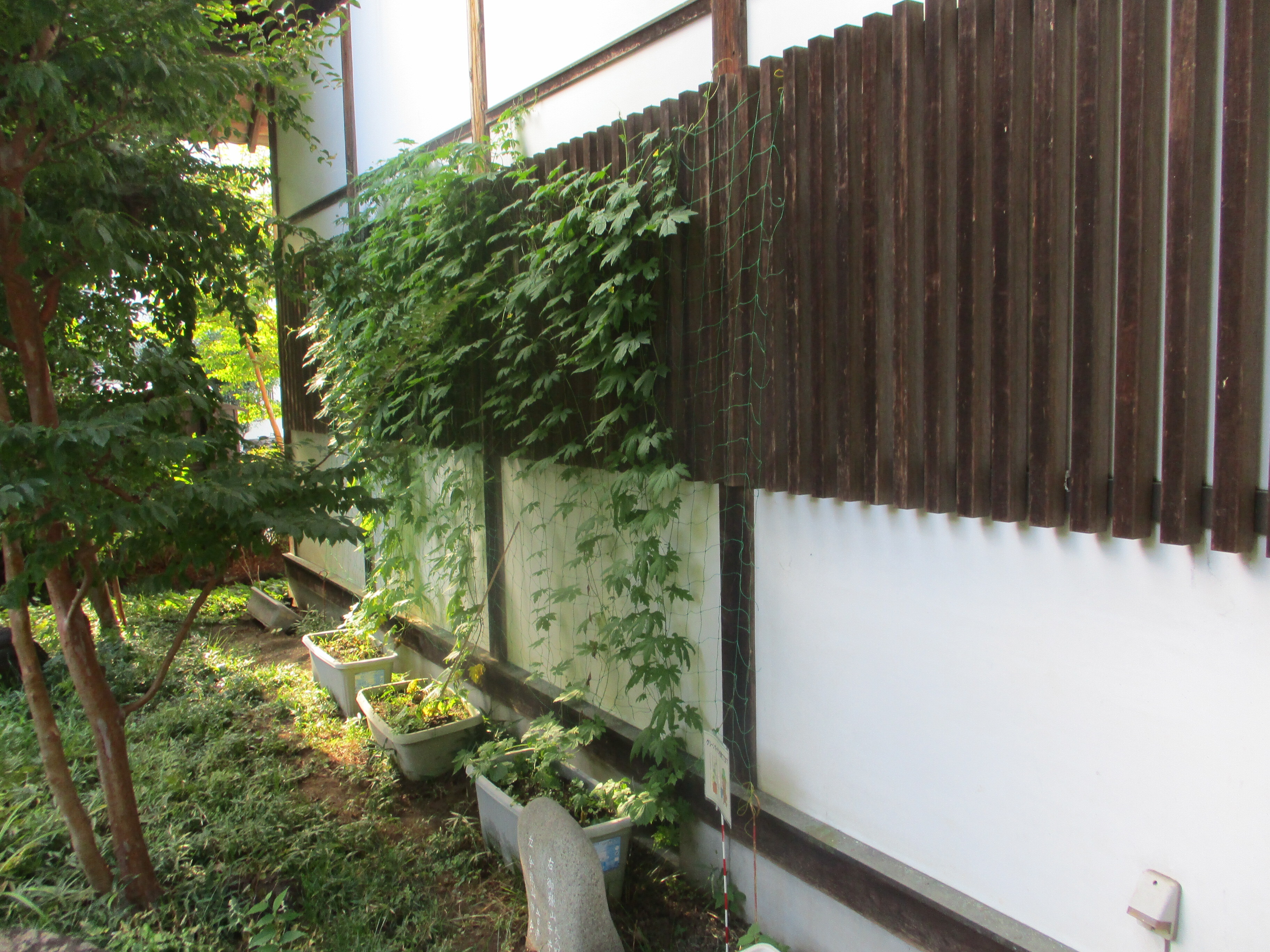 二宮考古館の写真