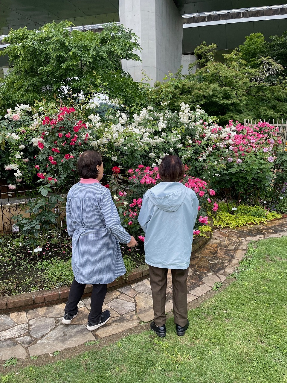 令和5年度オープンガーデンめぐりの様子2