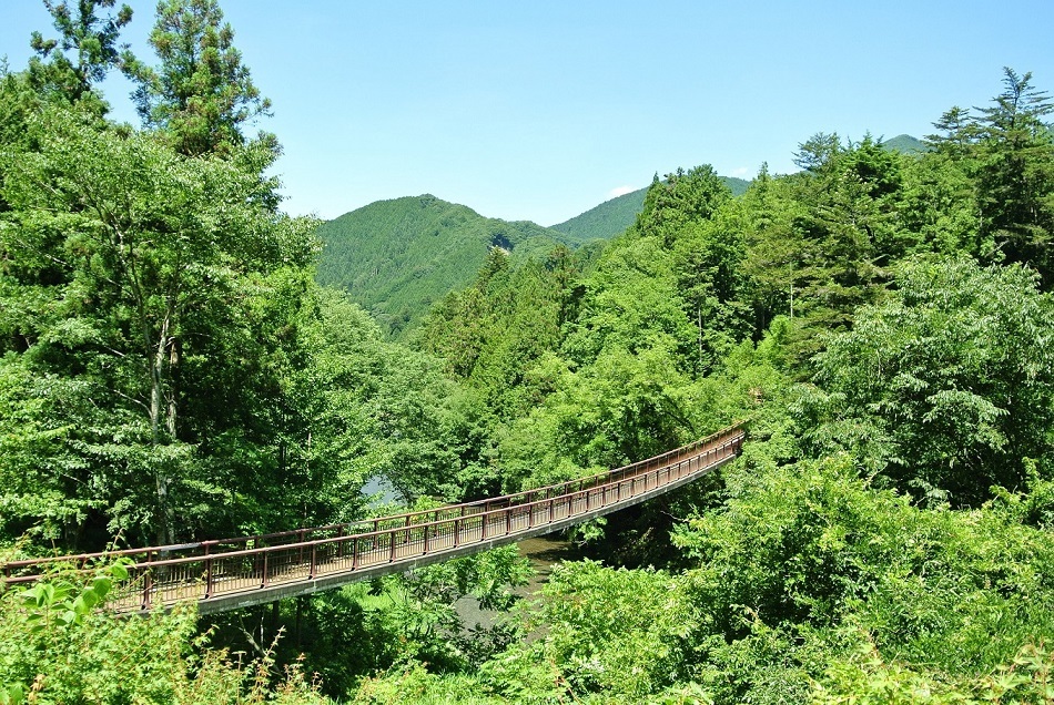 夏の石舟橋