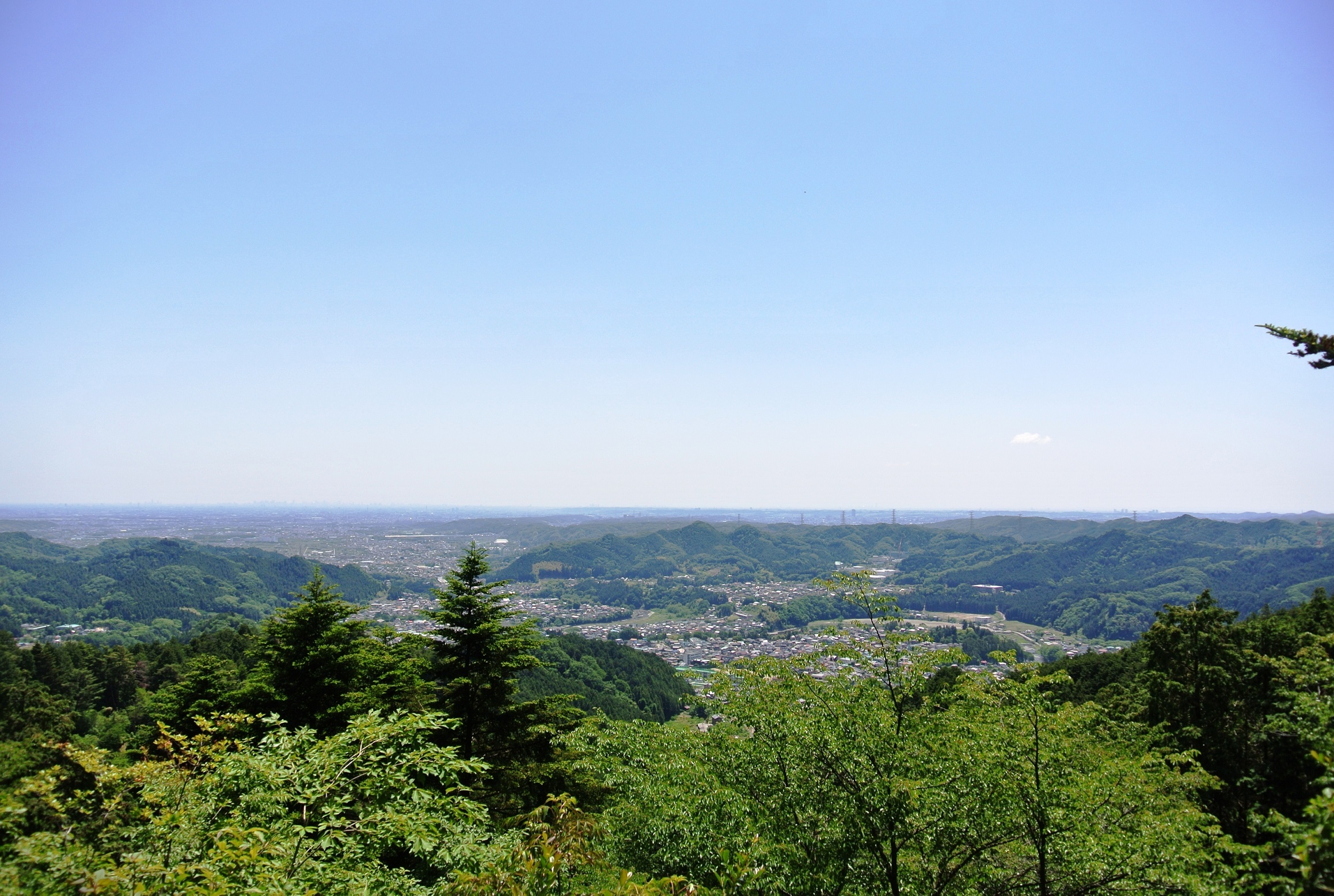 金比羅公園の写真